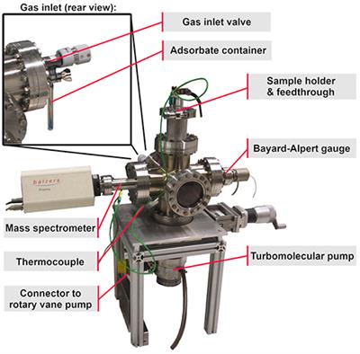 Adsorption and Desorption of Organic Molecules From Thin Cellulose Films